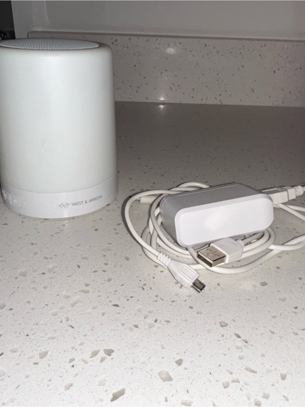 White Portable Bluetooth Speaker with USB Charging